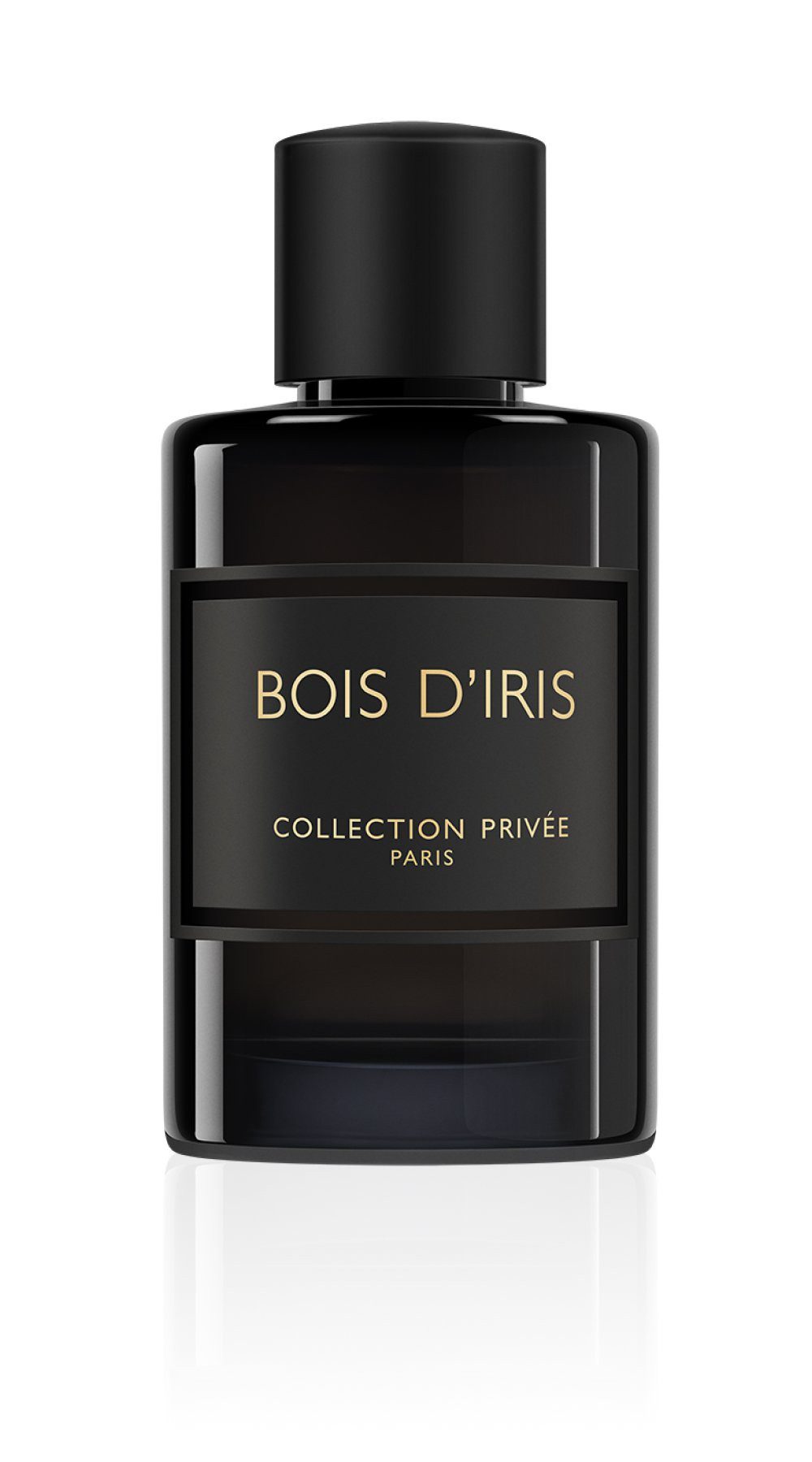 GEPARLYS Bois d'Iris Pour Homme Eau de Parfum 100 ml