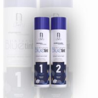 Kit LAVU Paris Blue Tint Intense revitalisant sans sulfate pour cheveux secs et traités par couleur