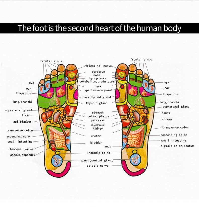 Tapis de Massage Pieds Physiothérapie EMS Masseur électrique automatique Relax Foot